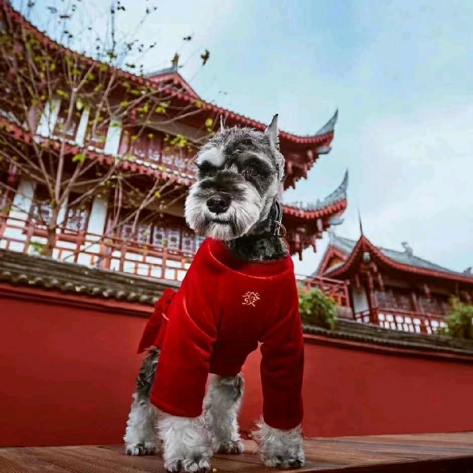 裁耳研习社