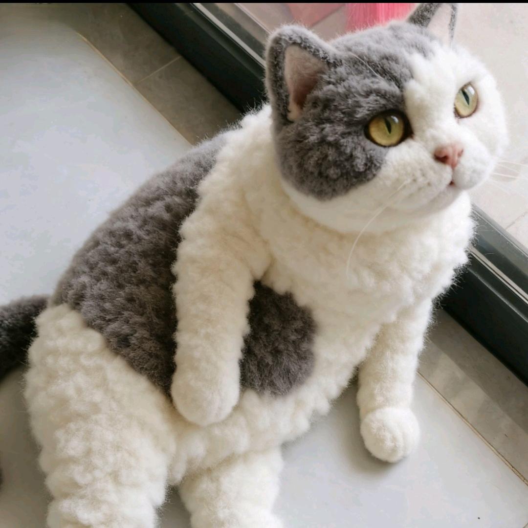 西西猫🐱