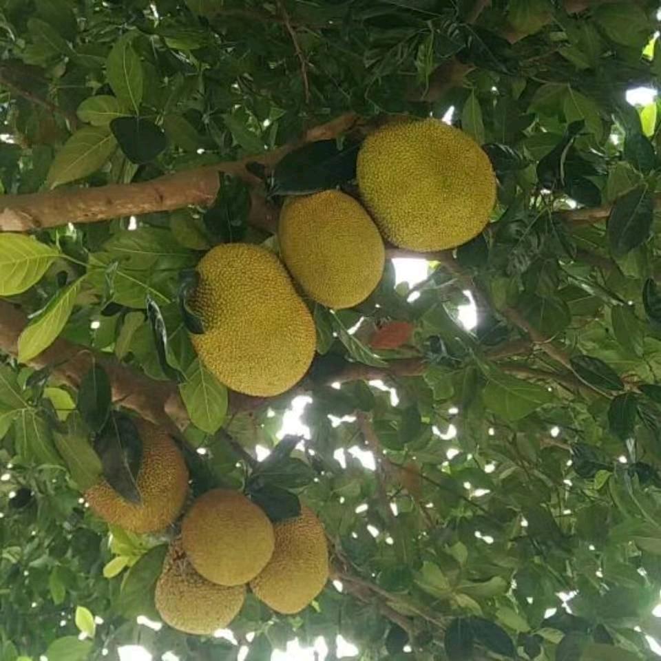 人在江湖
