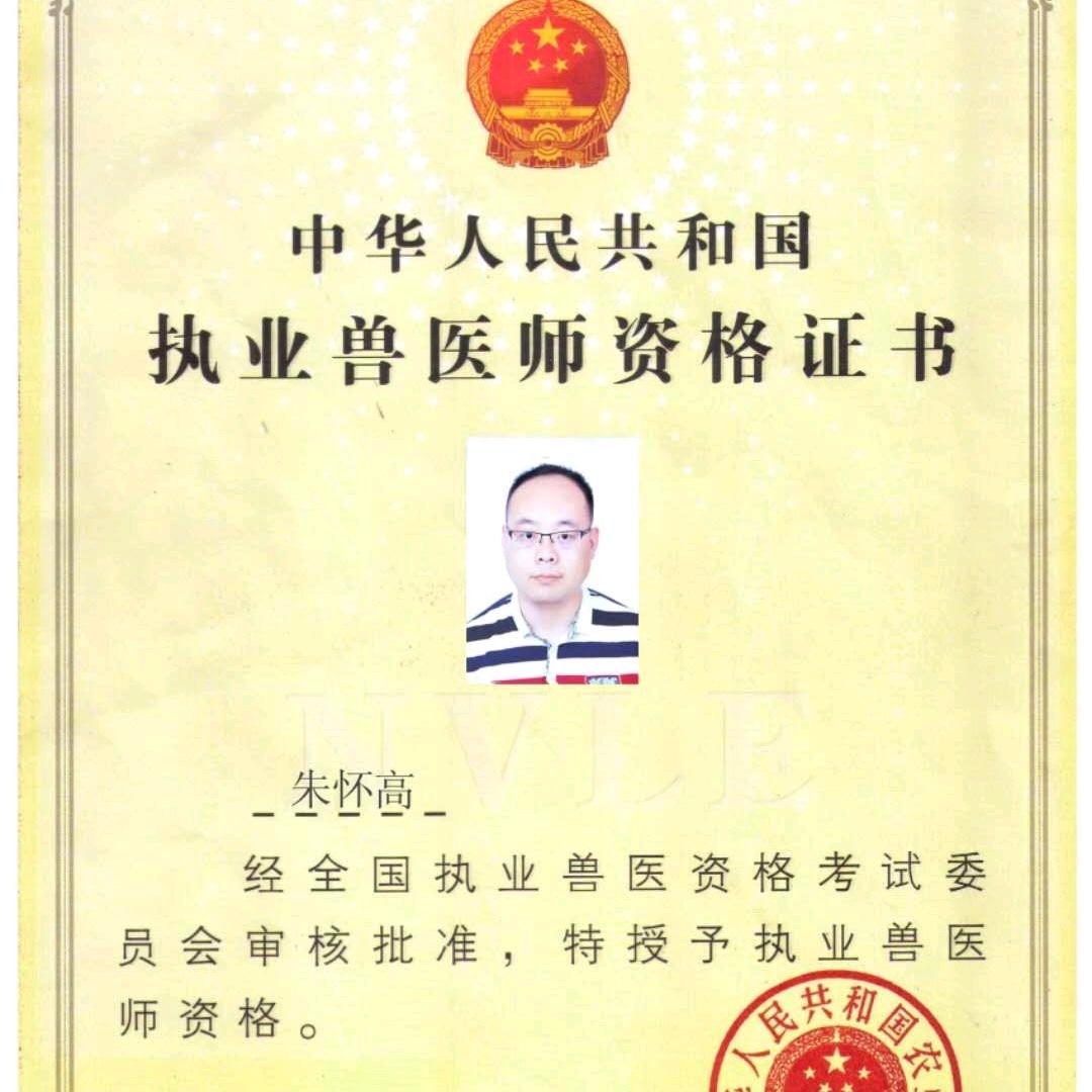 老朱谈禽