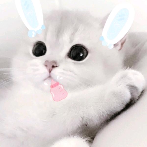 思