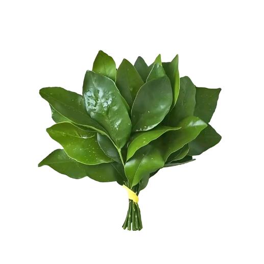 不减十斤不改名(减肥版)