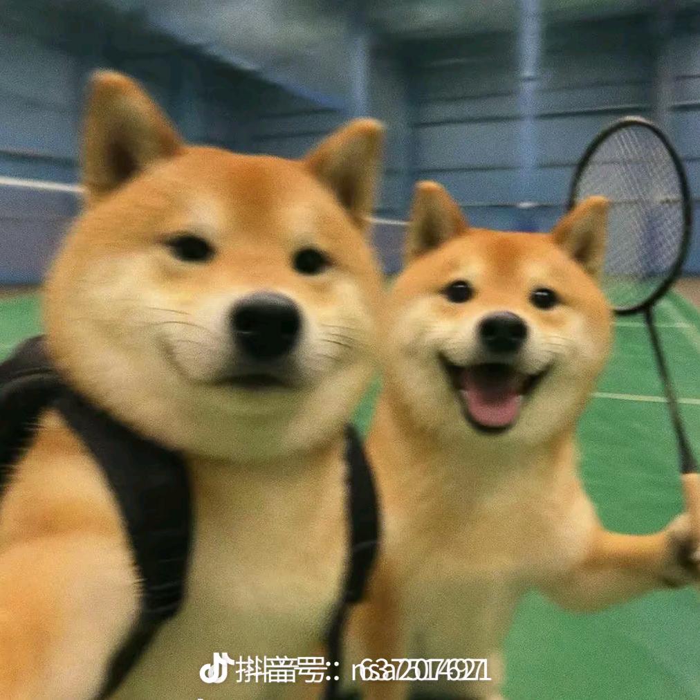 夏季