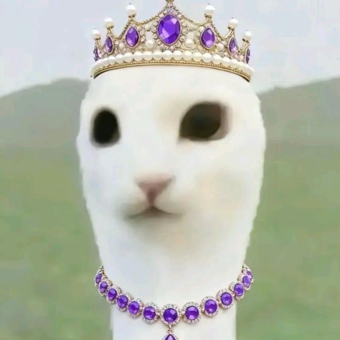 阿旭
