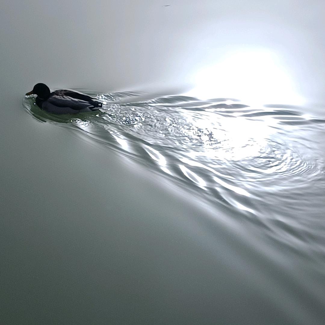 走着走着掉馅饼了