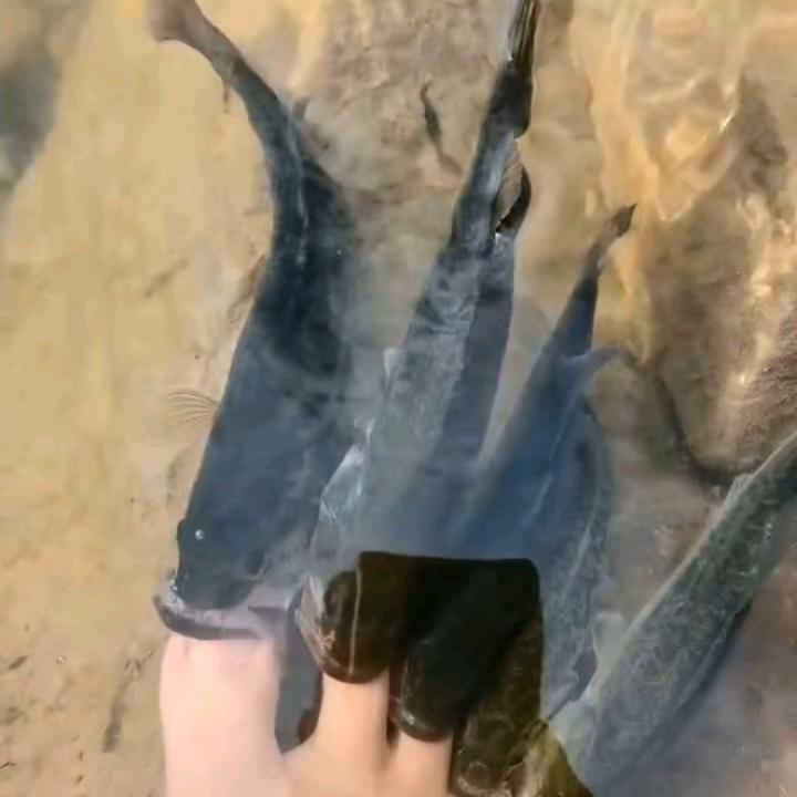 喋喋