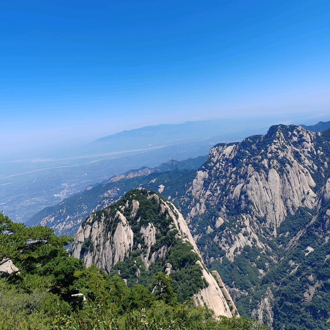 你的愿望就是我努力的方向