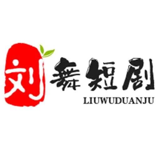 刘氏广场舞
