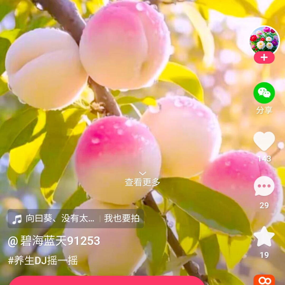葵花🌼