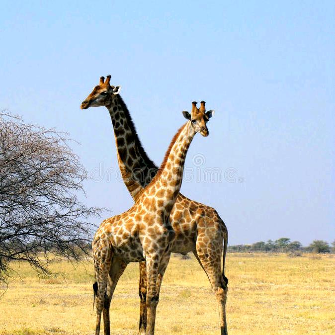 文化娱乐，相信科学真的对！