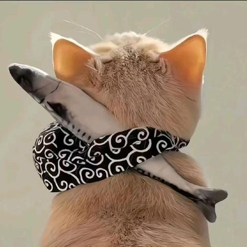 背猫的鱼