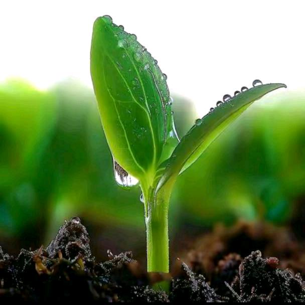 余生好好爱自己