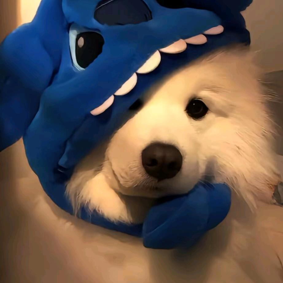 com.