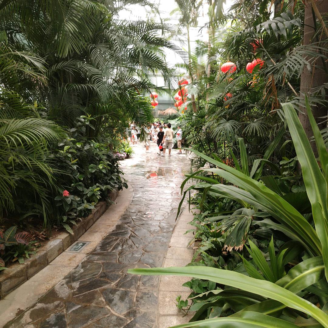 幸福一家人