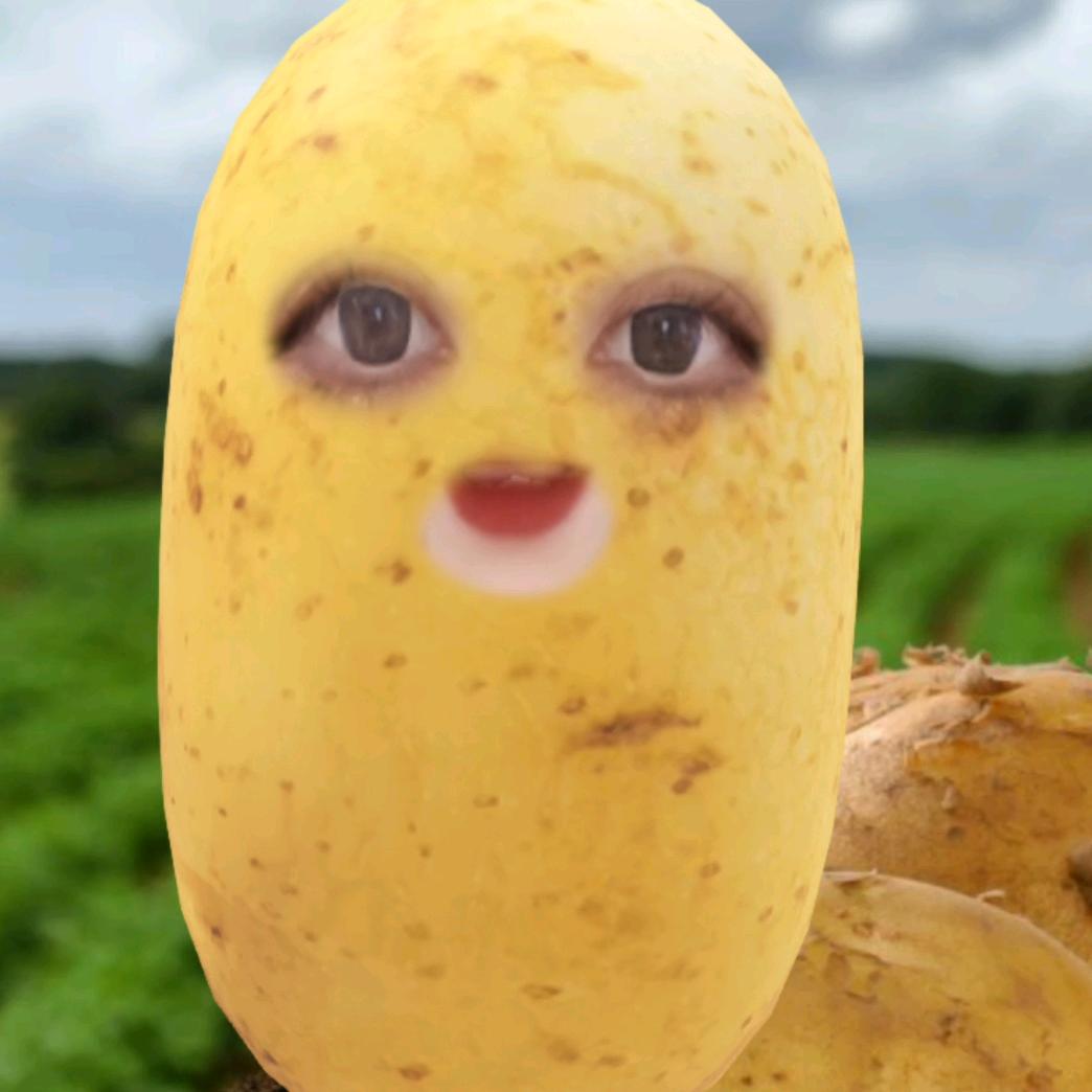 土豆豆~
