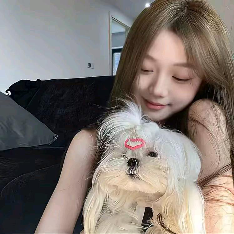 小燕子。