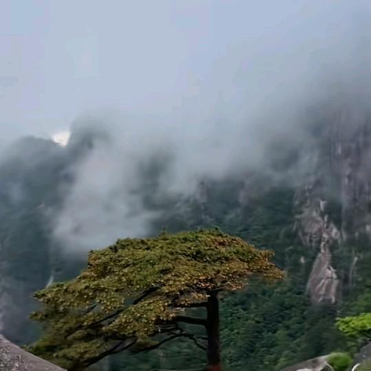 和严悦瑟