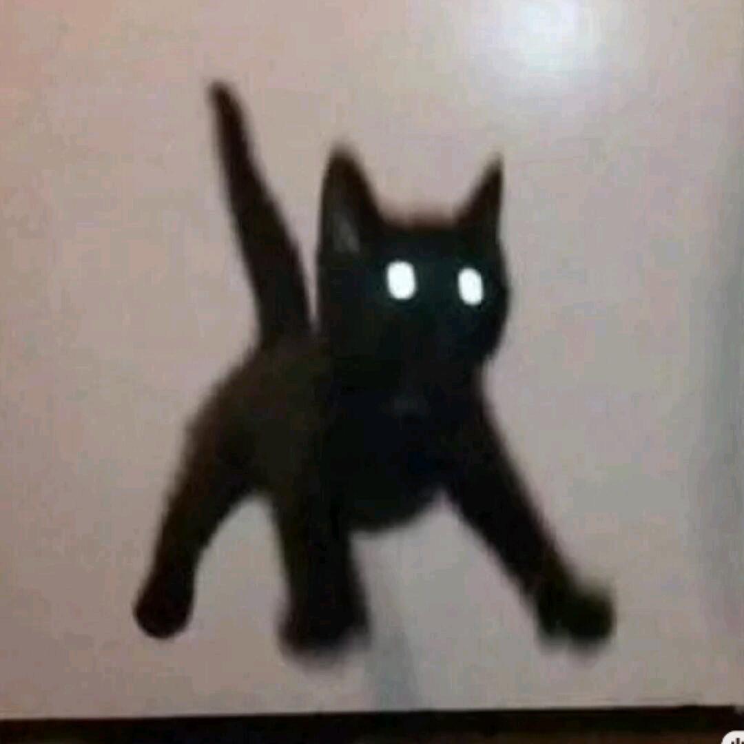 起落