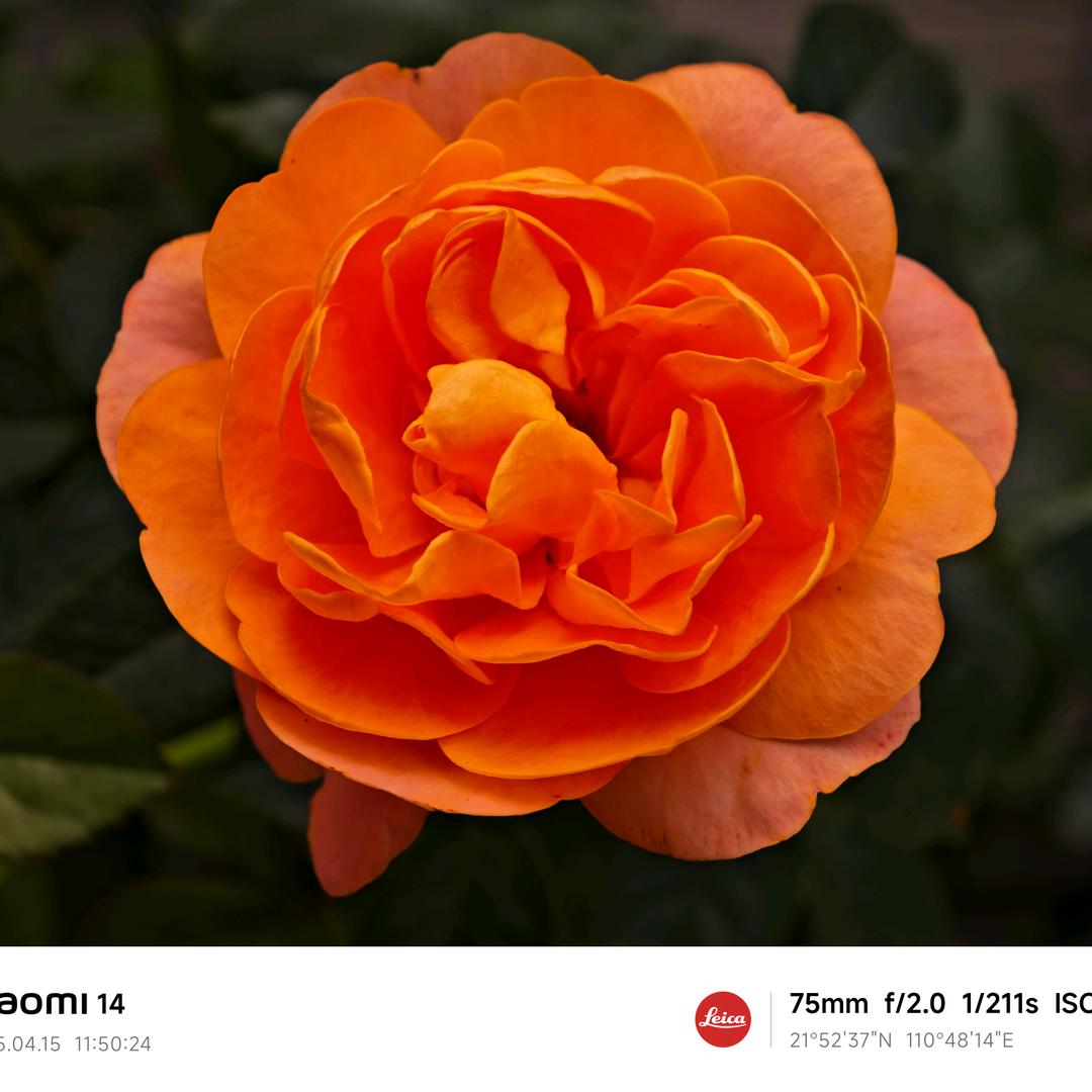 ？？？？？？？