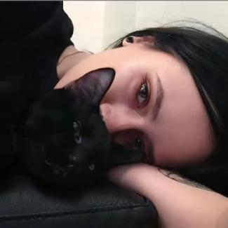树猫💤