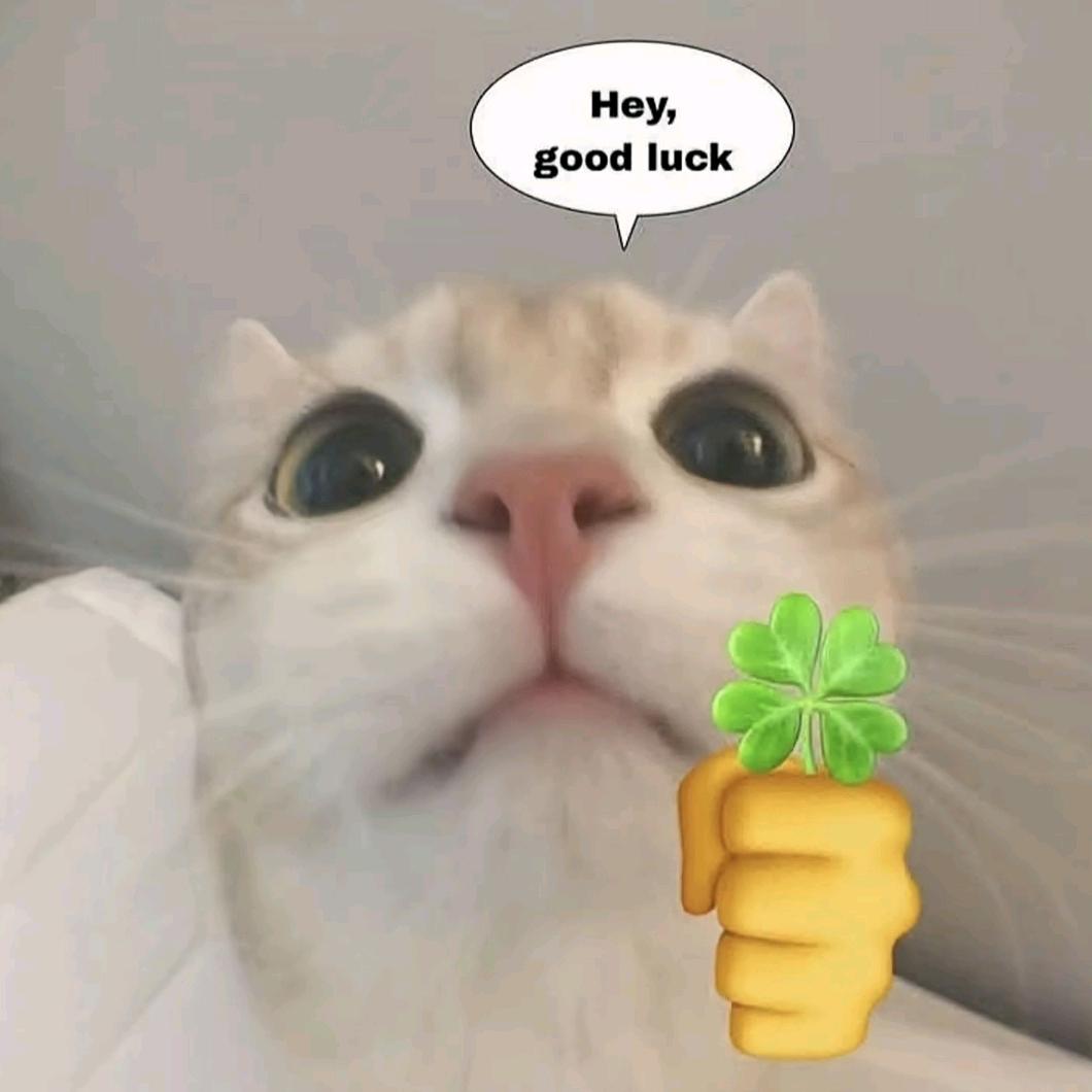 睡醒后照镜子又把自己帅晕