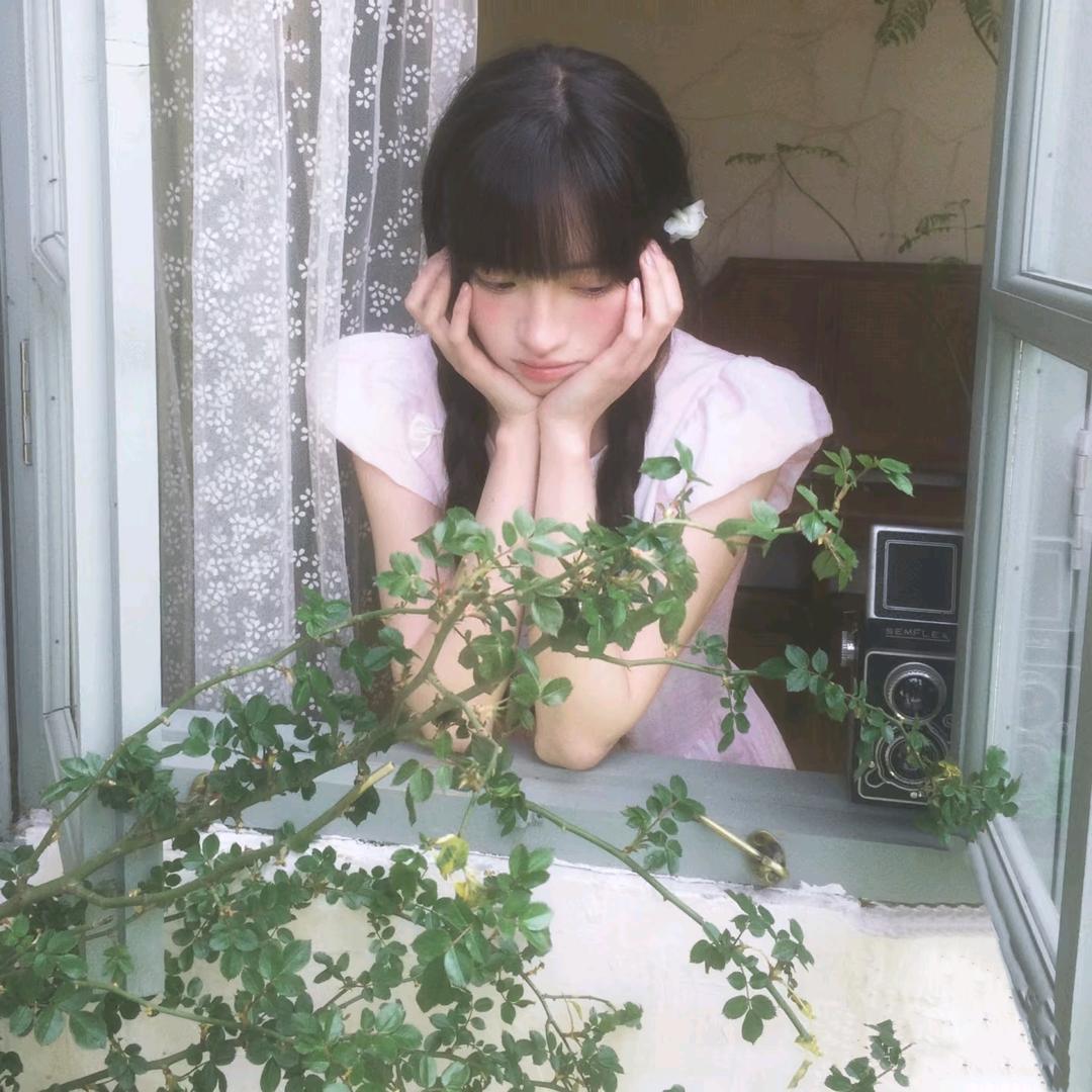薄荷曼波