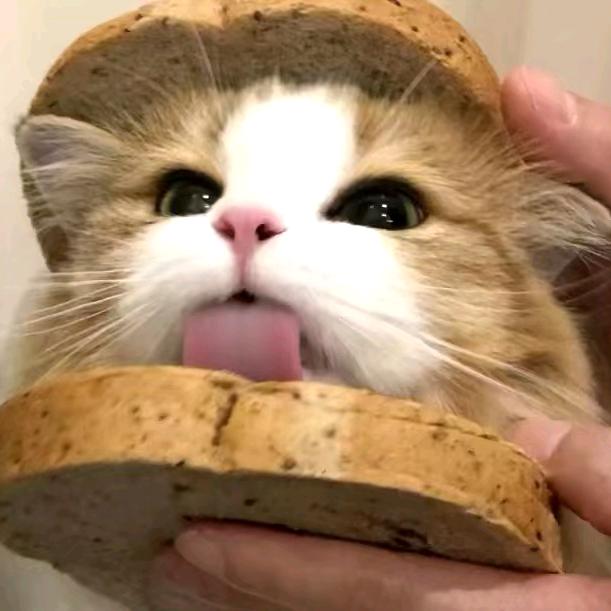 太子