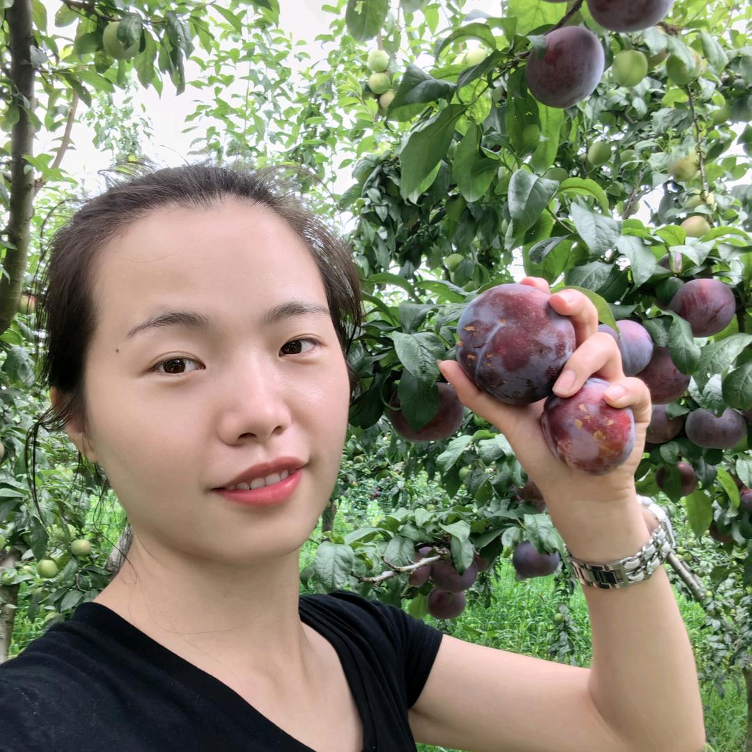 三里王黑布林 仲秋