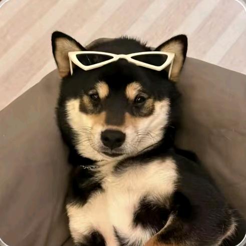 小小哲(三角洲行动)