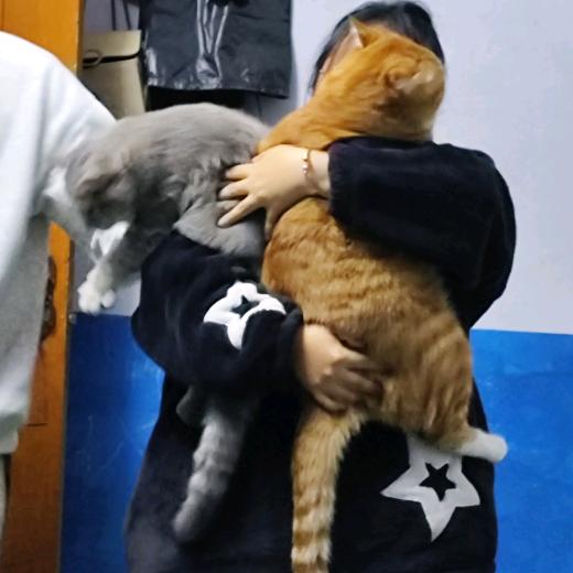 拿什么记住我呢