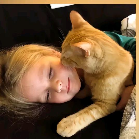 去超市听好消息