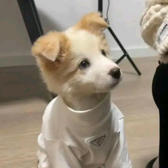 我