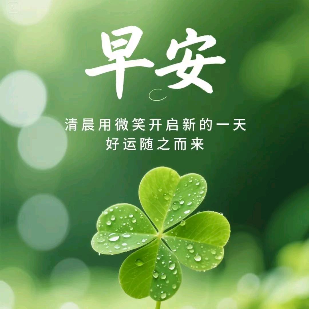 小小宇(休息)