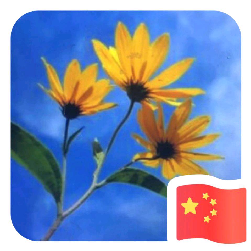 和睦