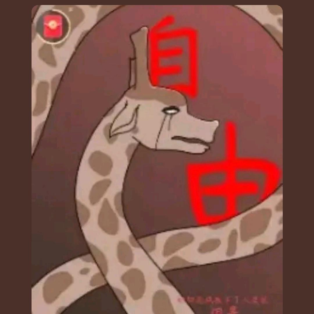 照片和我们的照片