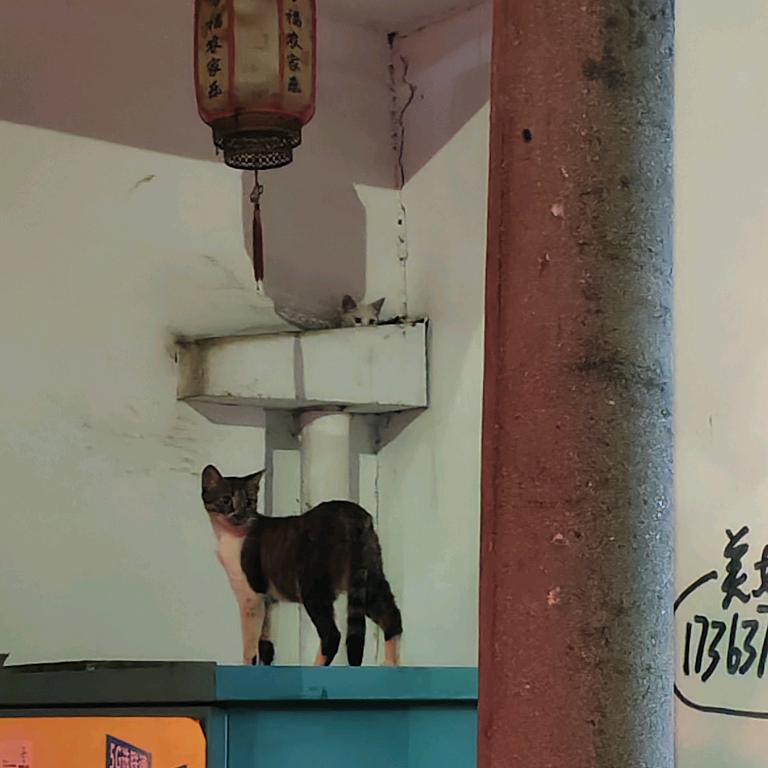 不抽不抽就算了