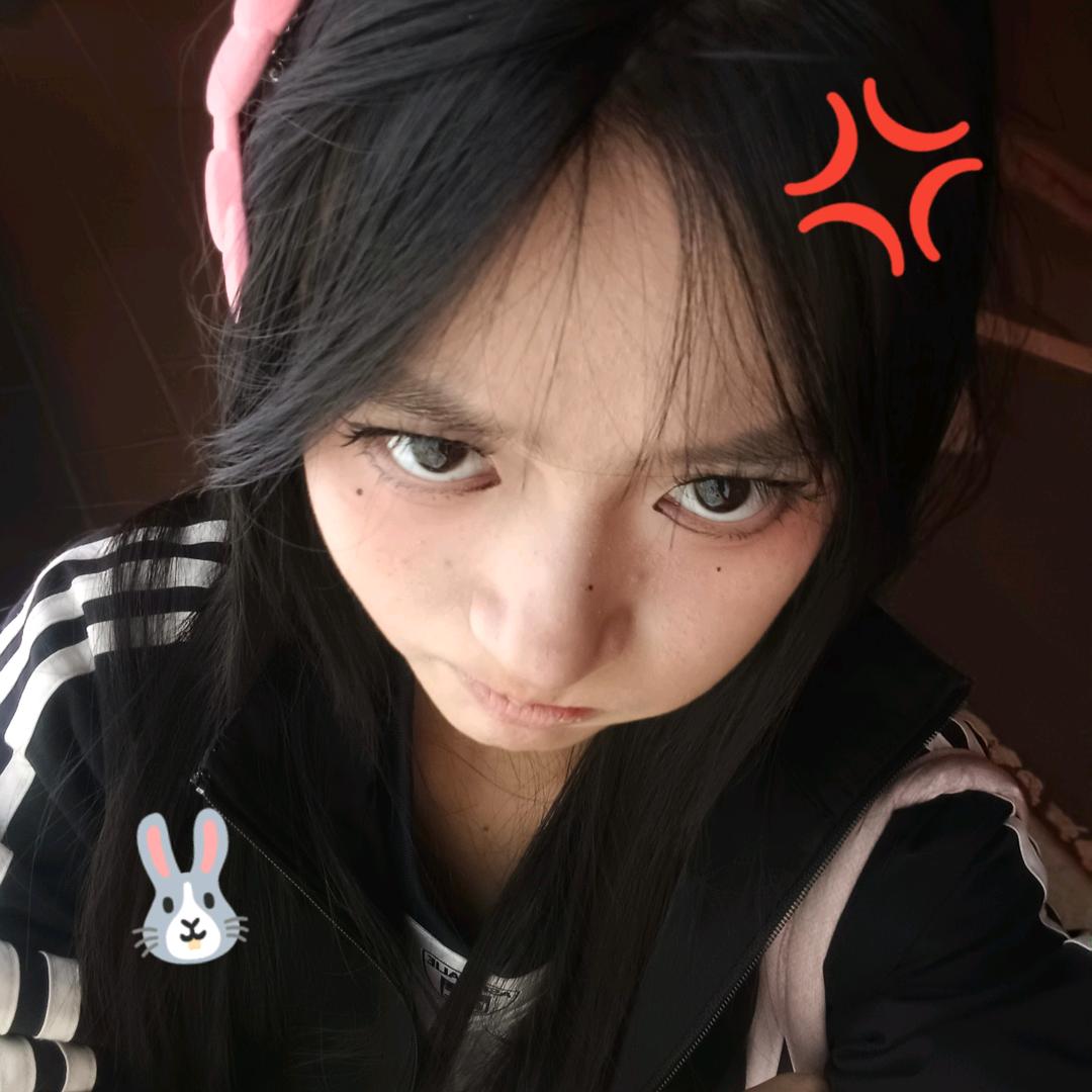 松鼠与企鹅
