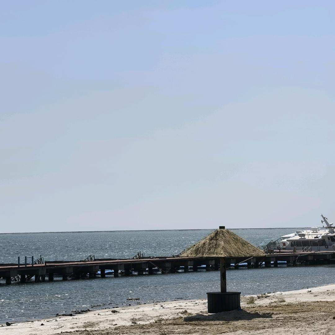 李想不到