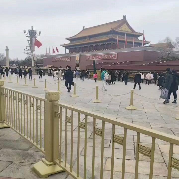 龙游四海