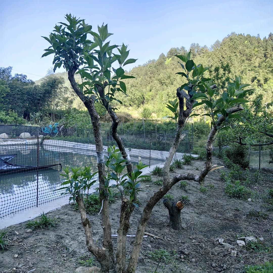 三生有幸>遇见你