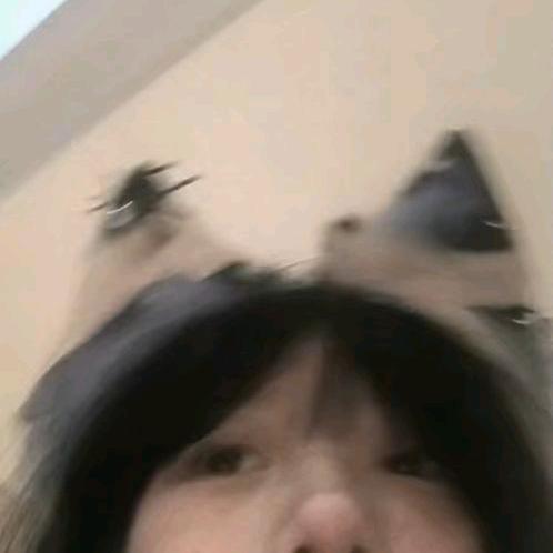Lu^io