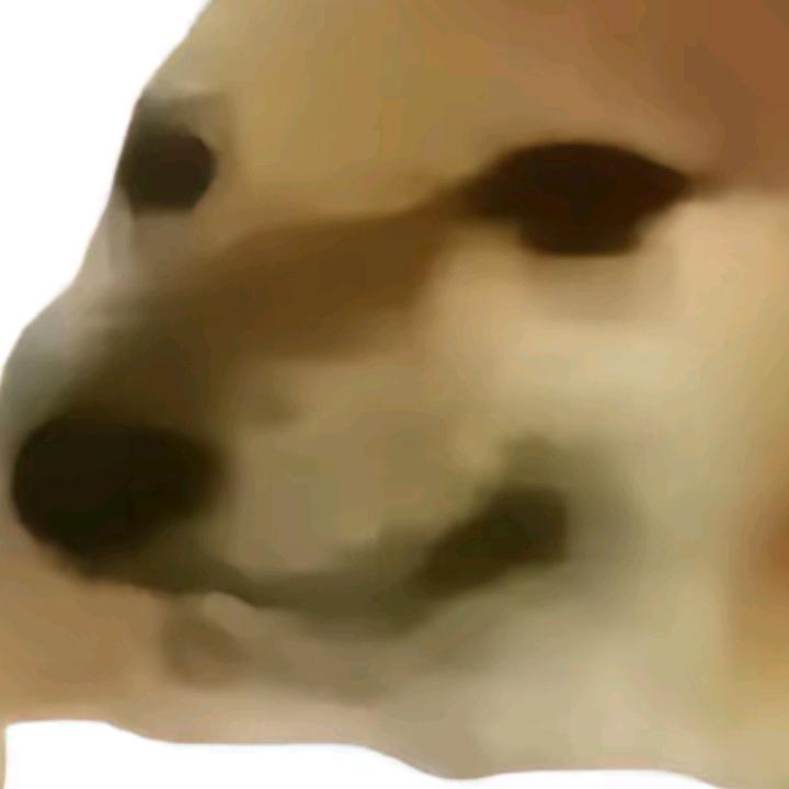 zzzx78(xxxz78小号)