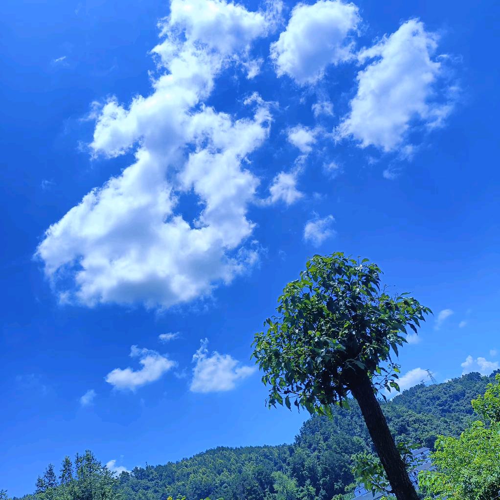 ❤豆豆