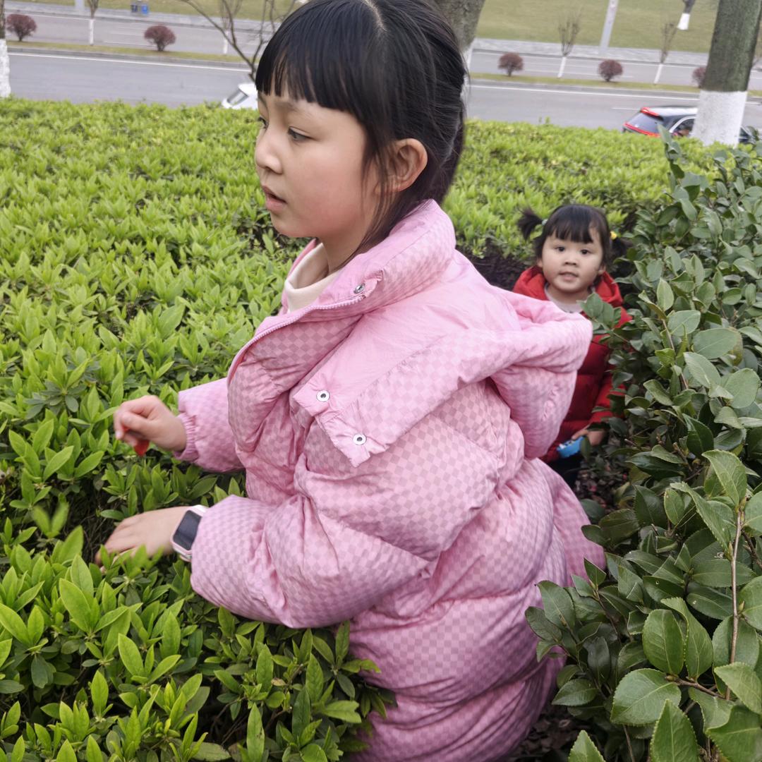 家有两姐妹