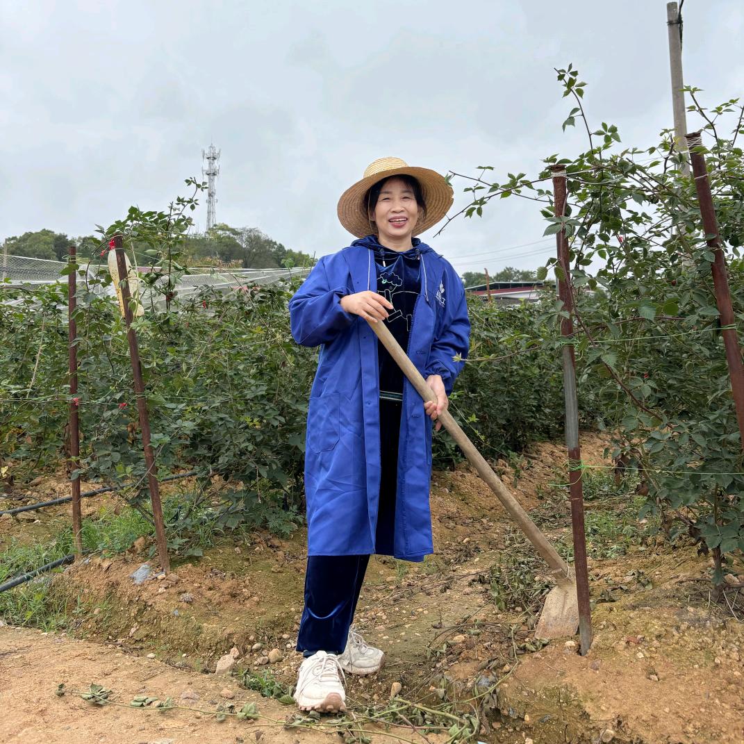 60后阿姨农场日记