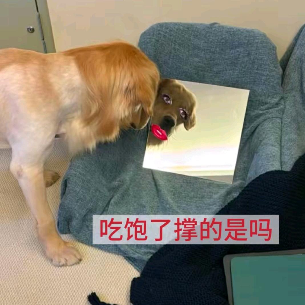 老四