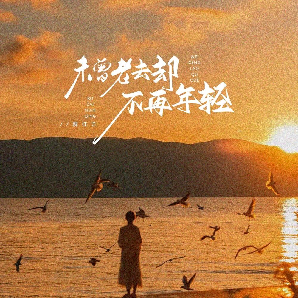 阳光的人生