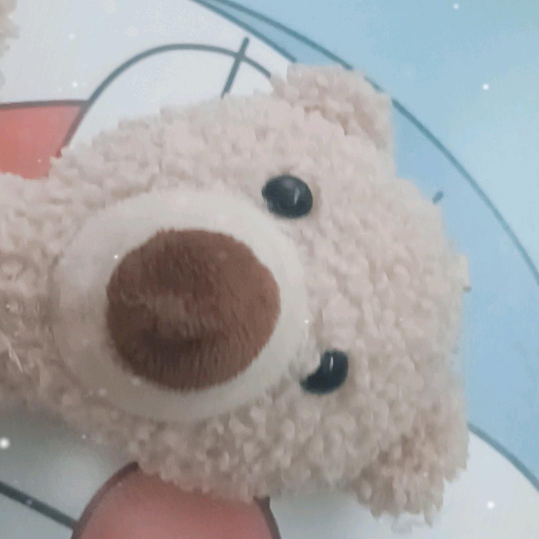 呆呆鱼
