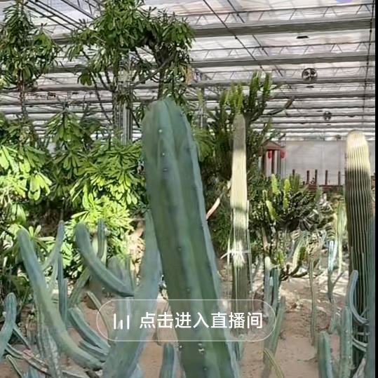 勇闯天涯