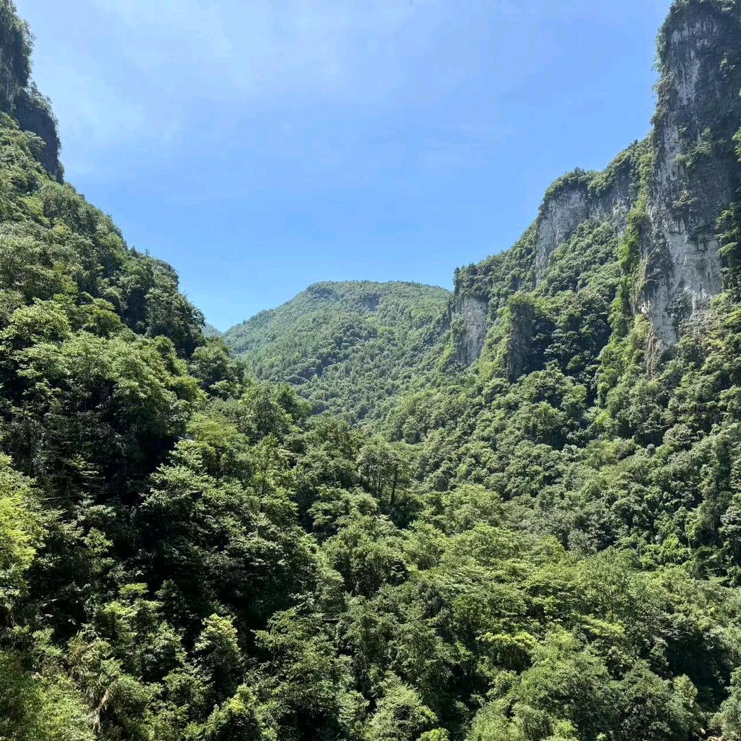 🐉籠腾泗海🐲